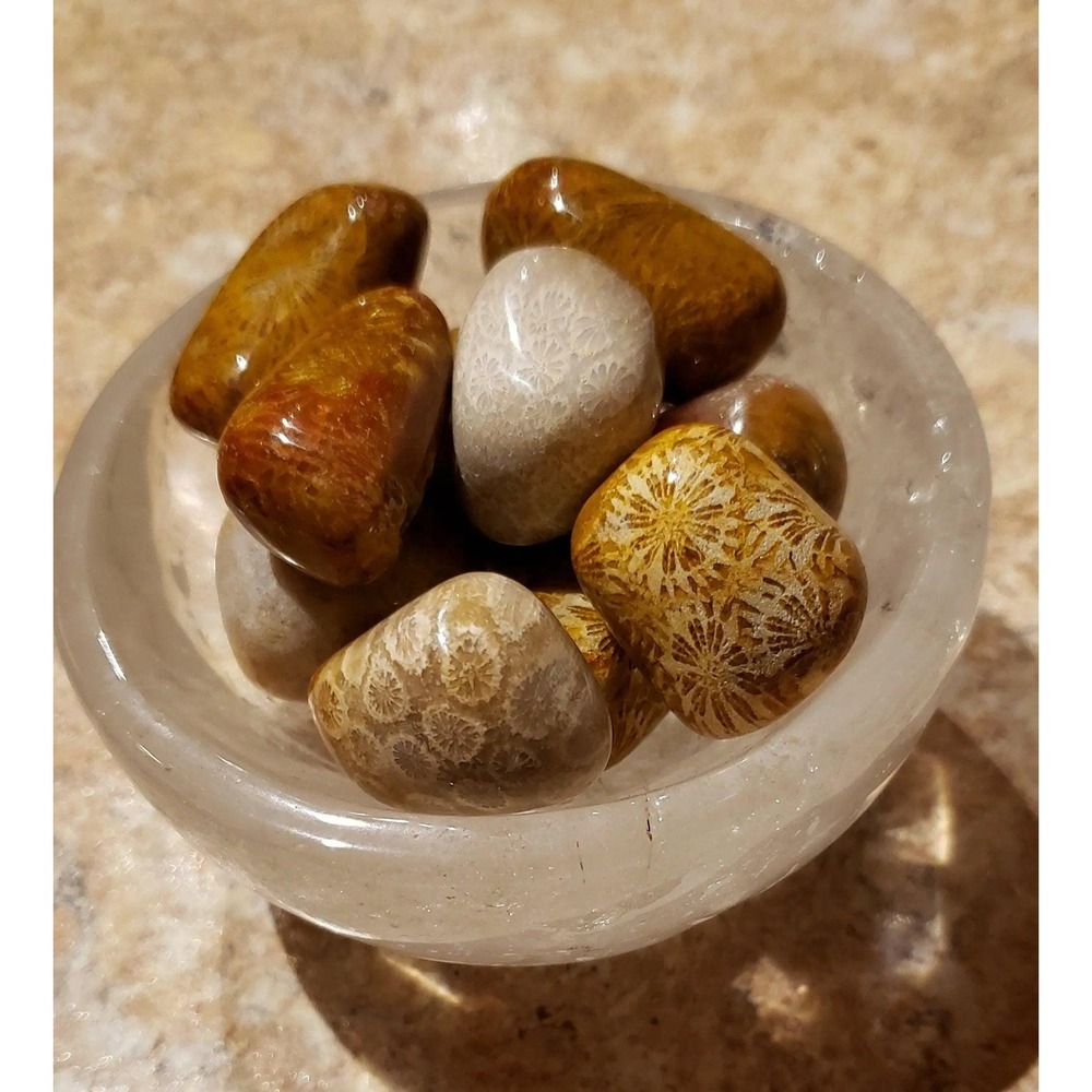 Clear Quartz Crystal Bowl with Indonesian Fossil Coral Tumbles